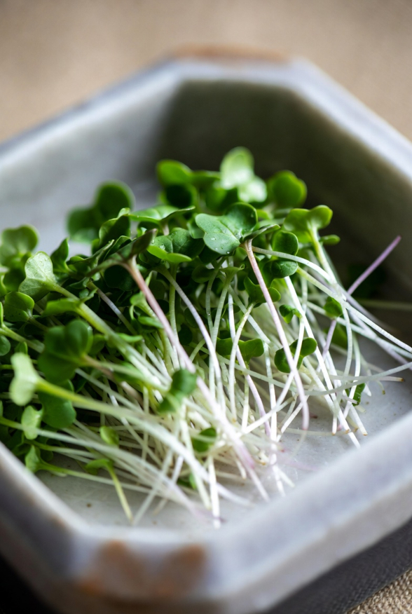 Four Leaf Farm microgreens