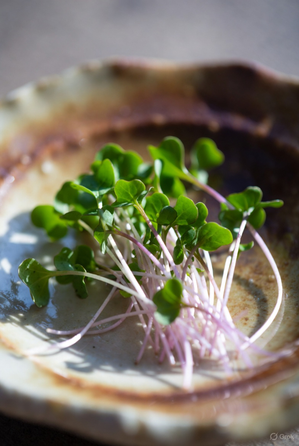 Four Leaf Farm microgreens