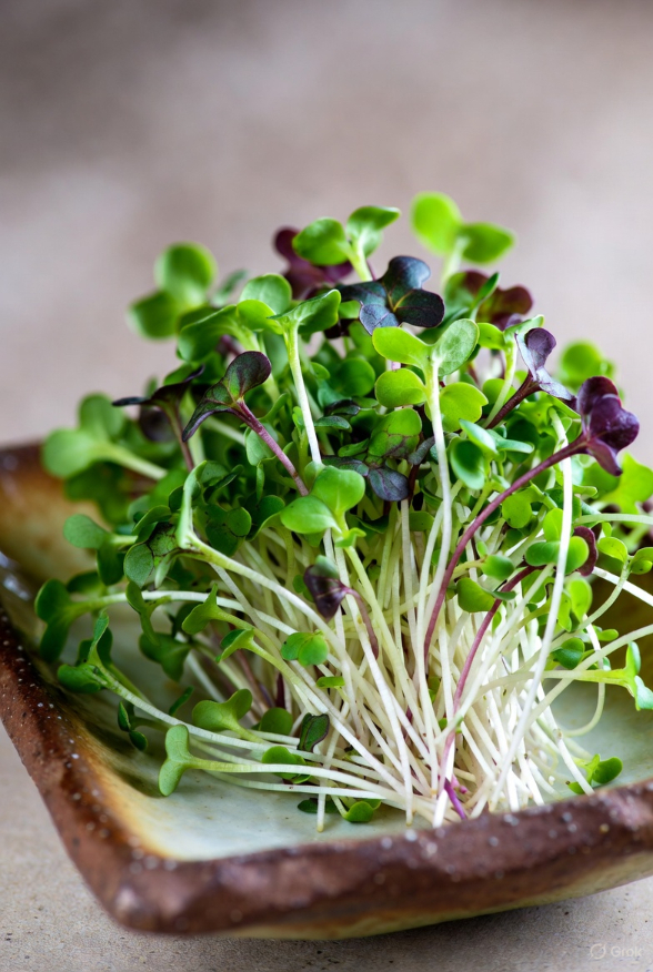 Four Leaf Farm microgreens