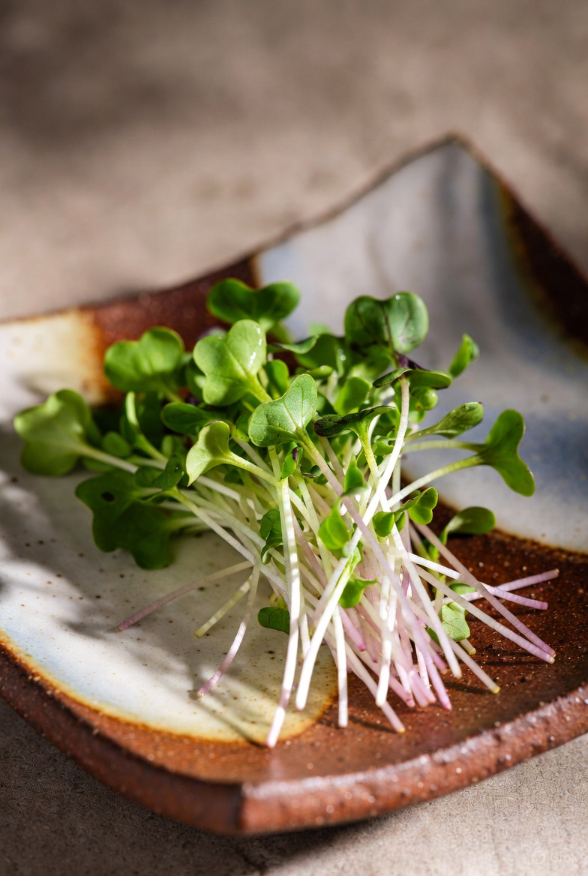 Four Leaf Farm microgreens